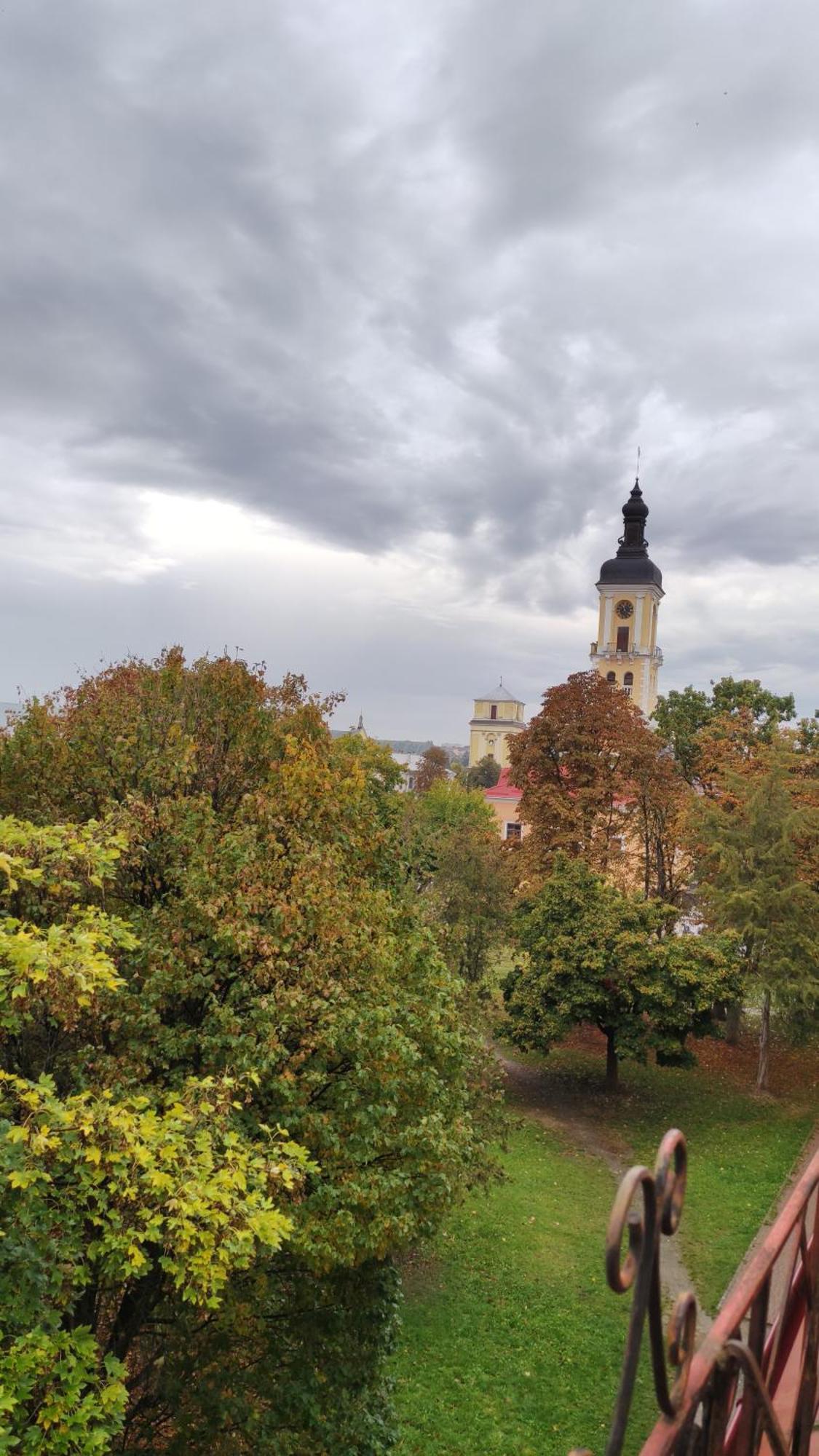 Apartament Сонячна Мансарда Kamieniec Podolski Zewnętrze zdjęcie